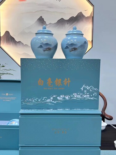 白毫银针礼盒装2023年新茶礼盒装500克