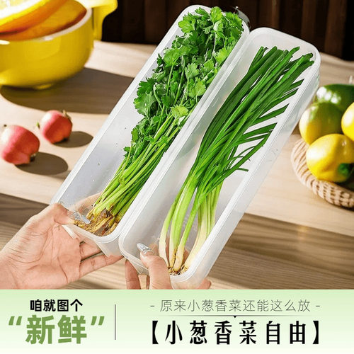 冰箱保鲜盒小葱香菜大葱餐具冷藏