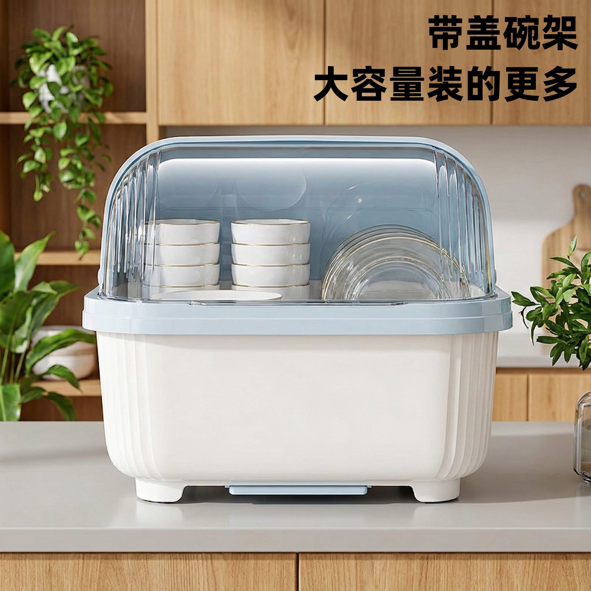 装碗筷收纳盒透明放碗箱沥水带盖碗盘置物架子厨房碗碟收纳架碗柜