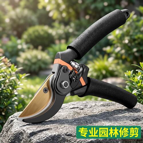 鹰嘴海绵护手园艺剪刀果树修枝剪