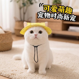 猫咪帽子可爱露耳朵狗狗夏季防晒太阳帽德文猫英短宠物小猫渔夫帽