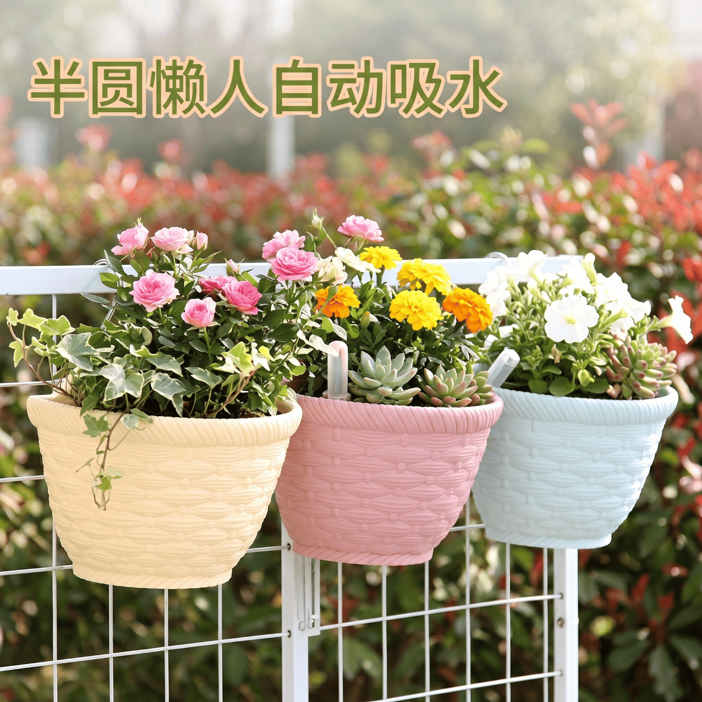 壁挂花盆塑料半圆懒人自动吸水盆水培吊盆围栏悬挂花盆墙壁壁挂盆