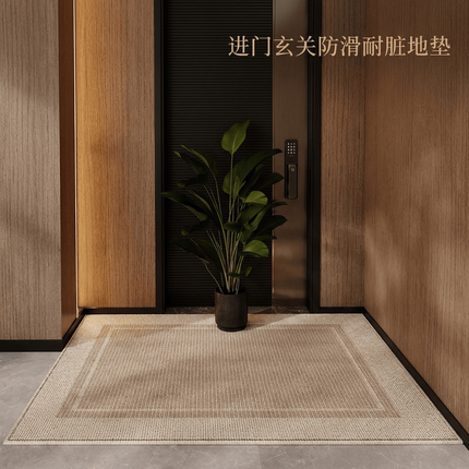 入户门地垫家用高级感入户大门口防滑脚垫子进门玄关耐脏地毯色块