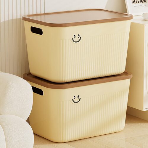 【拍1发2】发2个大号带盖收纳箱