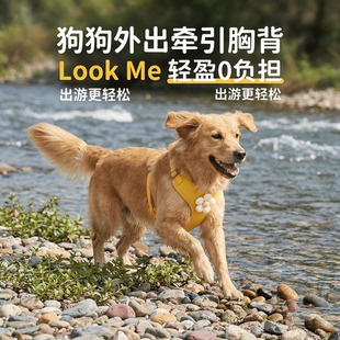 宠物外出小雏菊绣花牵引绳花边背心狗狗猫咪胸背带小型犬胸背家用