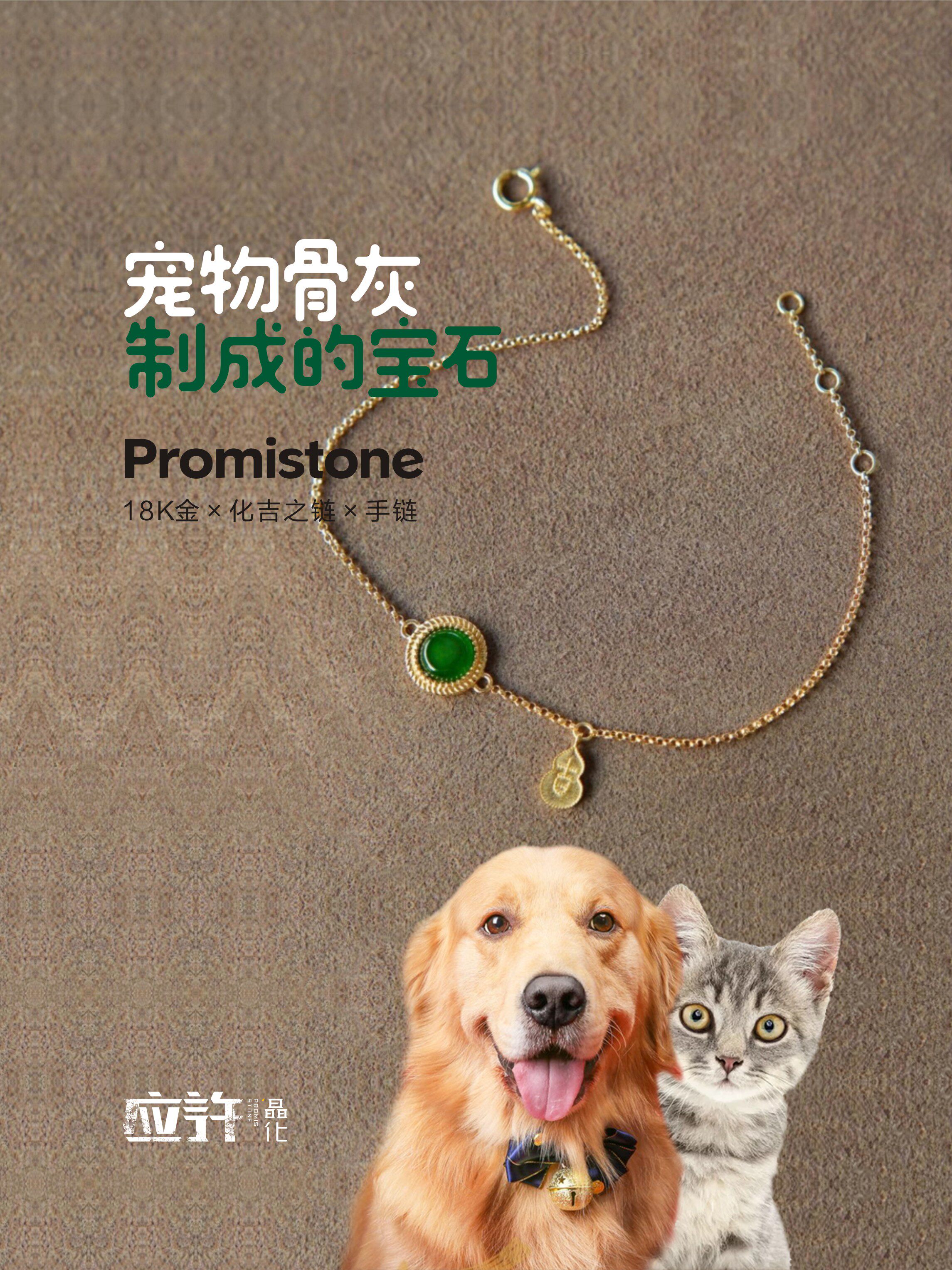 宠物骨灰生命晶石火化善终手链18K金宝石猫狗逝去世纪念定制盒碑