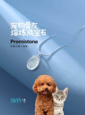 应许晶化宠物骨灰晶石项链善终