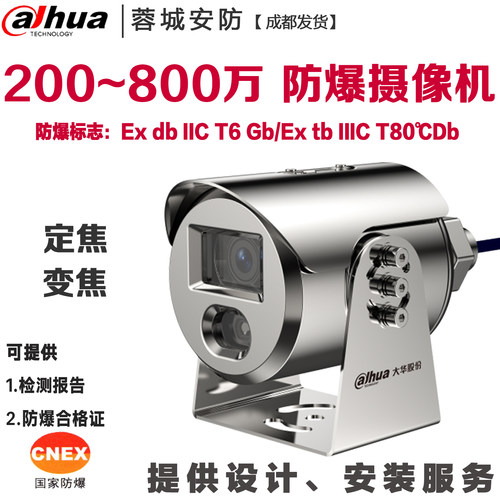 大华工业防爆摄像机头T6国标