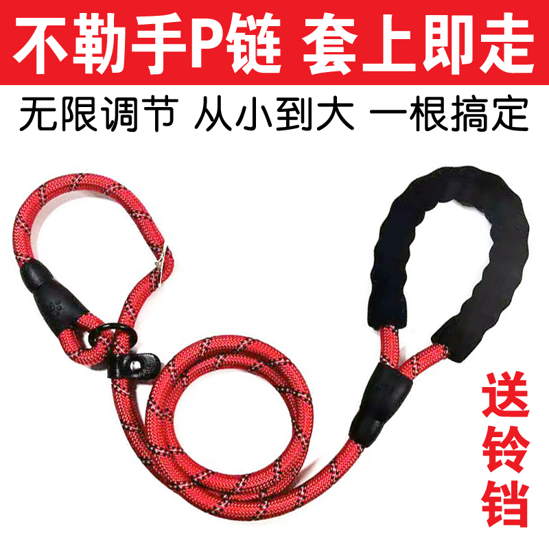 不勒手中大型犬萨摩狗狗牵引绳