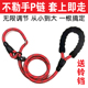 狗狗牵引绳不勒手遛狗绳P链小中大型犬金毛拉布拉多阿拉斯加萨摩