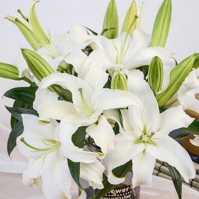 Long Lily flower Same city express Water to keep Big head Lily Mix and match Gentian Daisy rose Beijing Tianjin Direct Hairin the Flower delivery/Flowers simulation/Plants gardening , Flower delivery(City)  category - from Buy2taobao.com to provide professional Taobao agent buy service