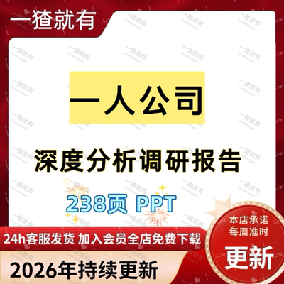 238页 PPT 一人公司深度分析调研报告 AI时代创业新模式深度分析