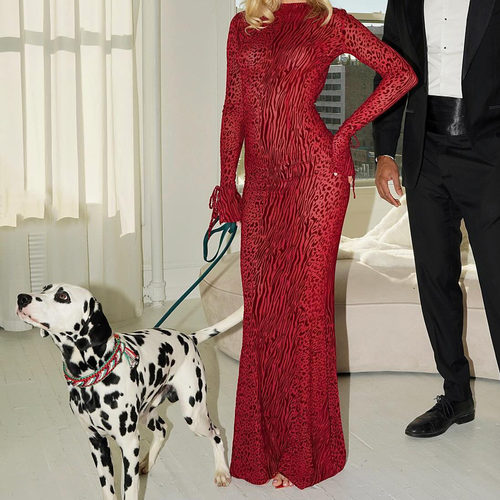 Sexy Backless Micro-sleeve Skirt Red Leopard Print Mesh Long