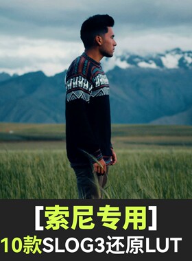 索尼lut灰片Slog3还原电影感旅拍a7m4/a7c/a7s3/a6700/zve1/fx30
