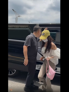 少量现货蔡依林同款EMIS新款千鸟格多巴胺腋下手提单肩包帆布包