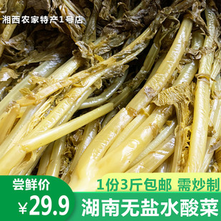 无盐萝卜青菜水腌酸菜湖南省怀化特产燎酸菜泡菜酸芥菜下饭开胃菜
