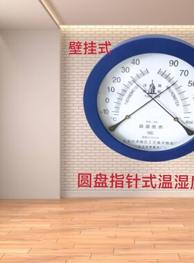 天津津南指针式温湿度计温湿度表GJWS-A2高精度家用室内药房大棚