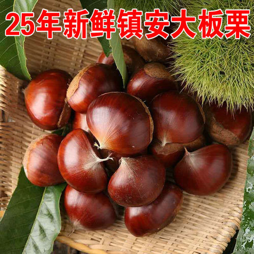 野外生板栗新鲜大板栗即食