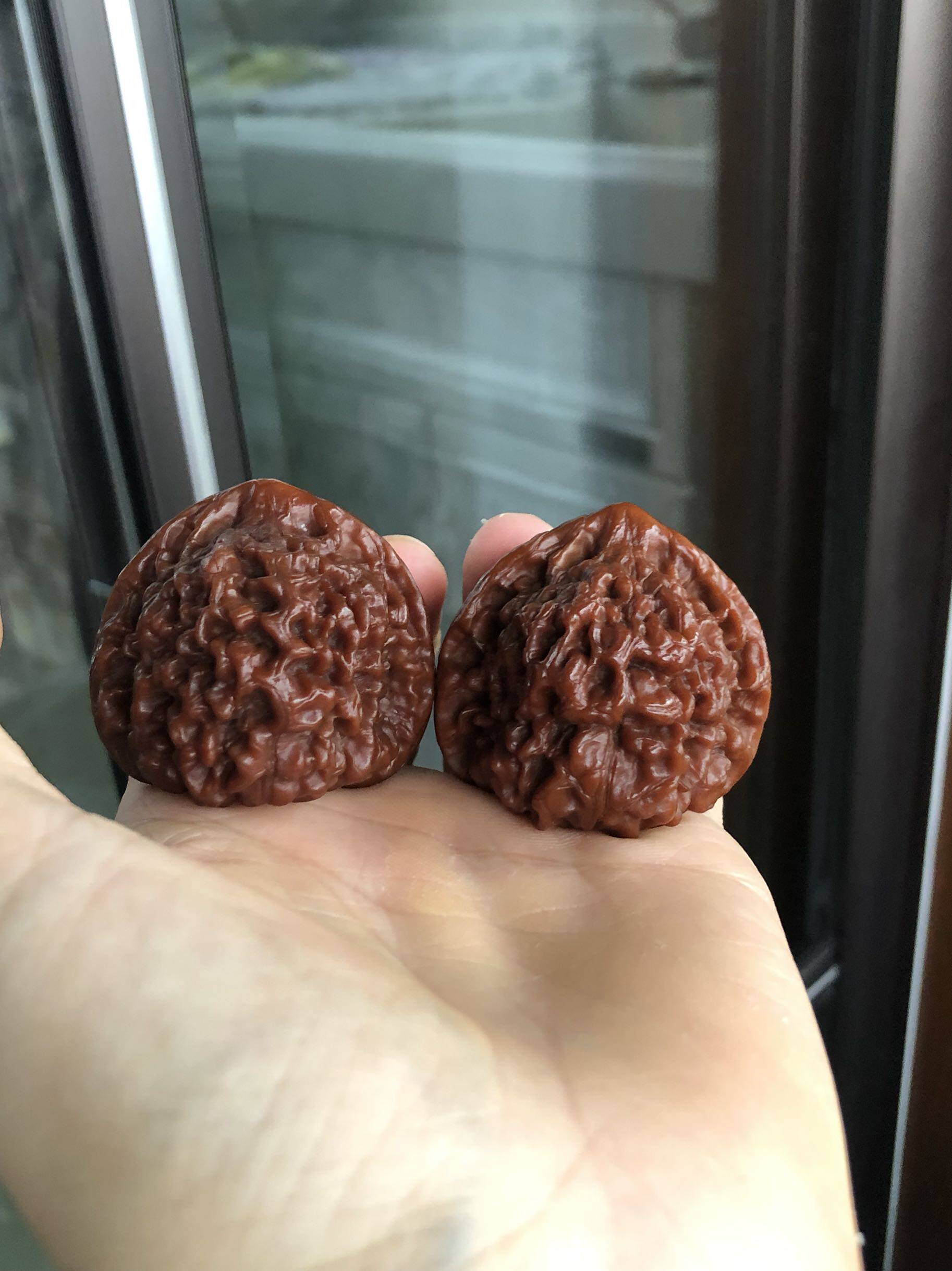 文玩核桃大官帽玉化5年手把44精品野生爆肉粗茎健身相似度高核桃