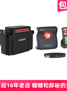 丹麦 SCANGRIP堪博 汽车美容色差抛光捕纹灯 套装 单支便携式手持