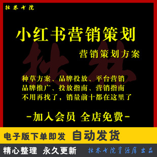 A199广告公司4A小红书达人策略UP博主品牌全案传播营销策划PPT