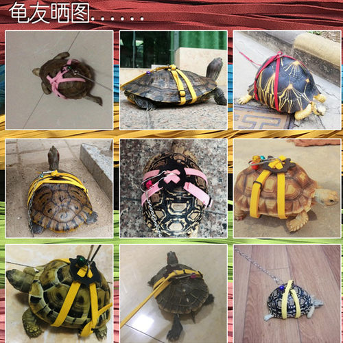 溜龟绳遛乌龟牵引绳巴西龟蜥蜴