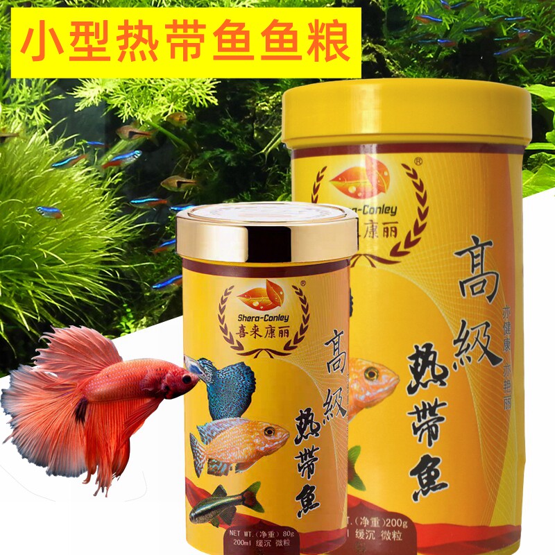 喜来康丽小型热带鱼饲料图片