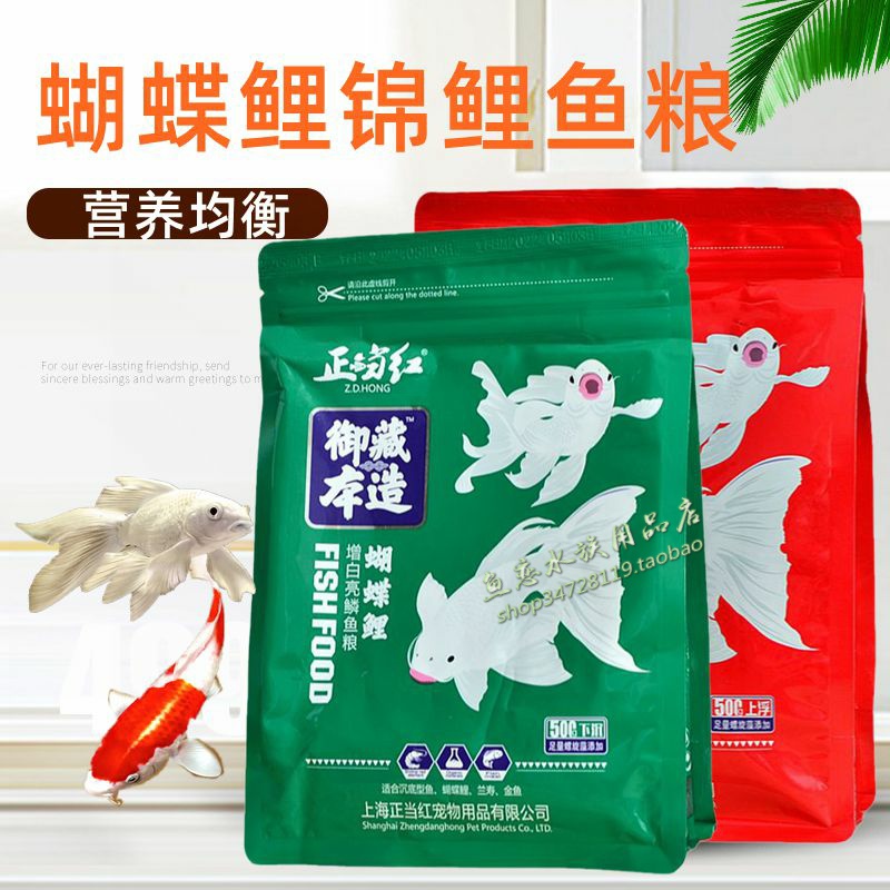 正当红蝴蝶鲤锦鲤下沉鱼粮上浮
