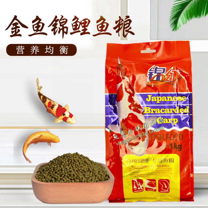 锦红锦鲤金鱼色扬专用粮