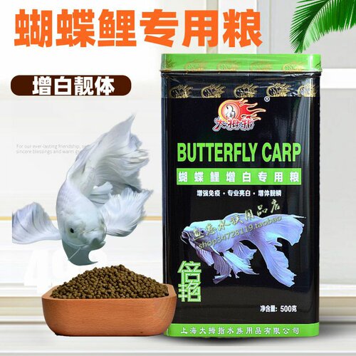 大拇指蝴蝶鲤增白专用粮倍艳鱼食