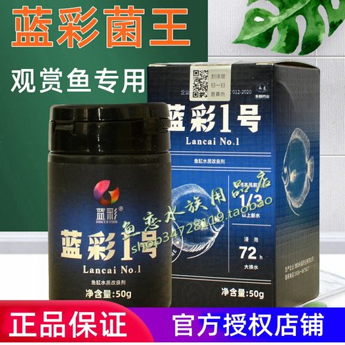 蓝彩菌王交叉感染水霉七彩神仙鱼