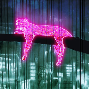 收藏装 英国艺术家Tom 亲签正品 画 饰画 Lewis猎豹玫红荧光限量版