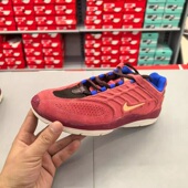 FZ4878 NIKE耐克男子NIKE TE运动户外鞋 VERTEBRAE 600