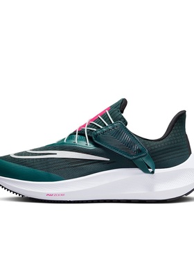 Nike/耐克正品Pegasus FlyEase女士运动训练跑步鞋DJ7383-301