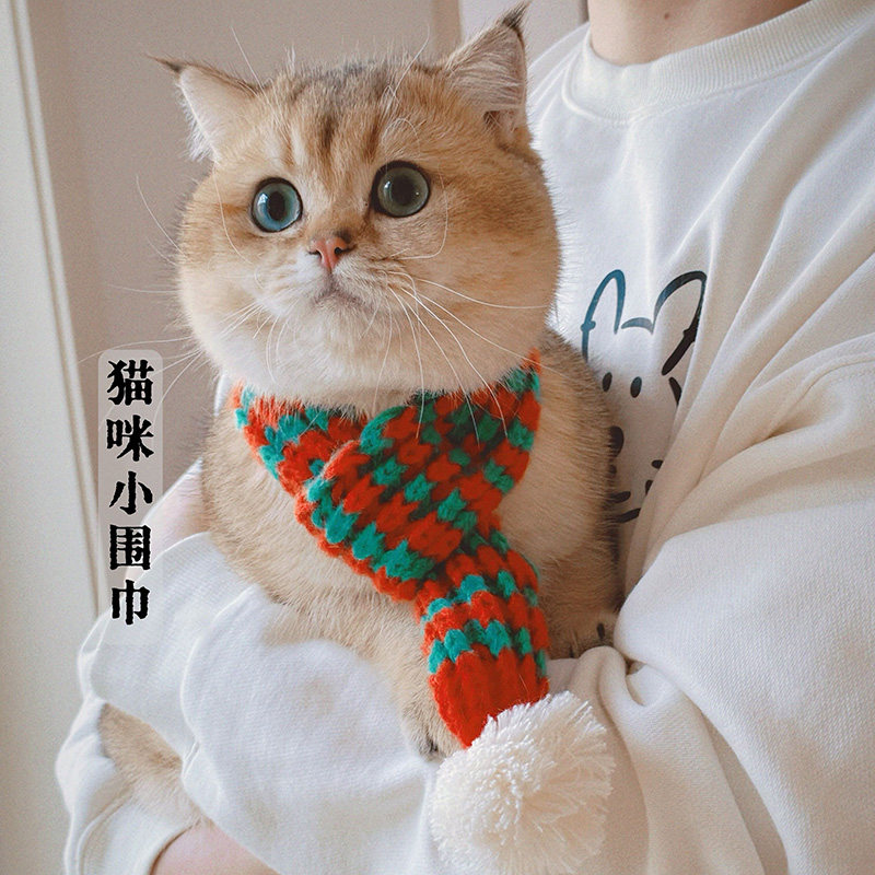 腐败猫 猫猫生日节日可爱针织毛线猫咪小围巾拍照打卡氛围圣诞节,宠物/宠物食品及用品,围巾/口水巾,淘宝优惠券,粉丝福利购,淘宝优惠卷