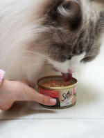 sheba White Meat Cat Canned Food, imported wet food Cat snacks from Thailand 85g*24 cans in a whole box thumbnail 3