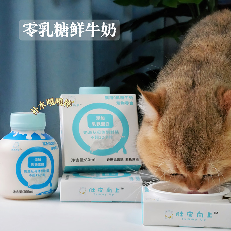 肚皮向上宠物牛奶0乳糖