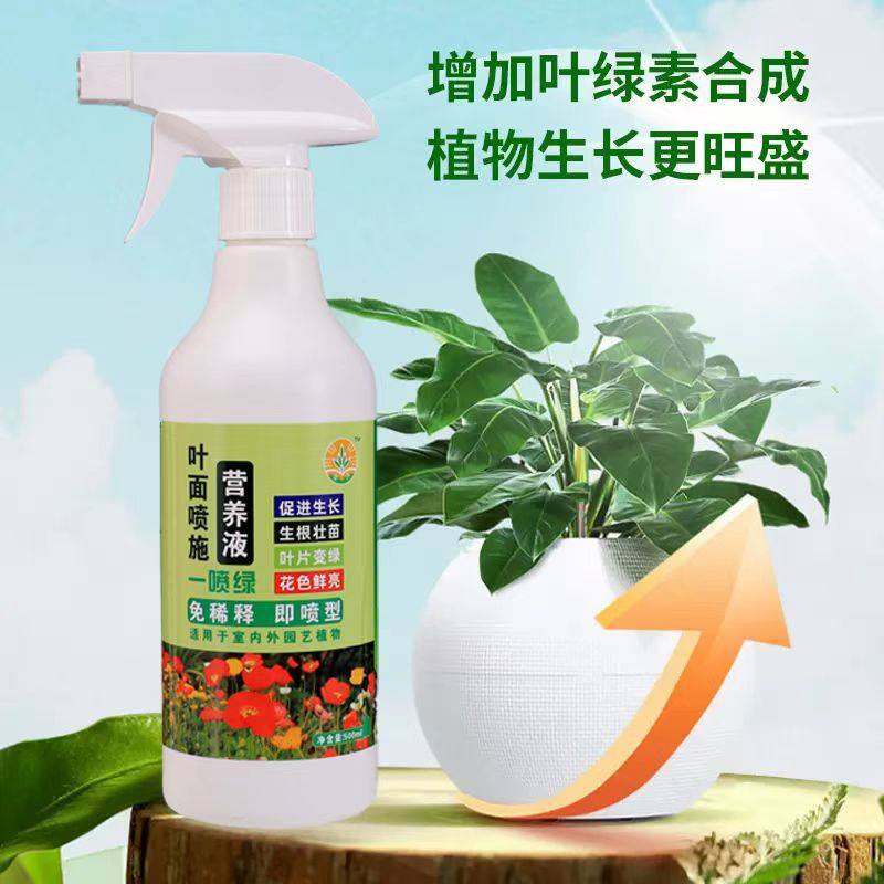 叶绿素叶面肥烂根死苗黄叶一喷绿营养液根腐病生根壮苗,鲜花速递/花卉仿真/绿植园艺,家庭园艺肥料,淘宝优惠券,粉丝福利购,淘宝优惠卷