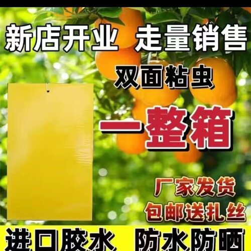 买1发60大棚粘虫子的黄板双面粘虫诱虫板柑橘子树瓜果实蝇针蜂粘