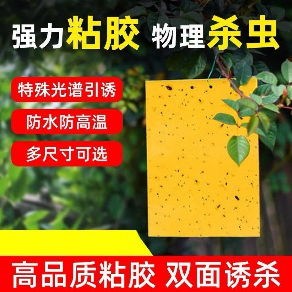 粘虫板大棚专用黄板双面灭小飞虫小黑飞果蝇虫板贴纸农用家用花园