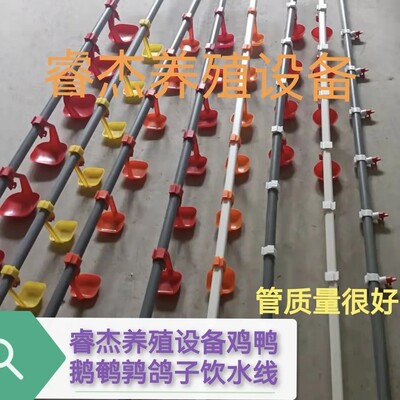 小鹅大鸡饮水线25大鹅6分管大鸭子饮水3米厚2喂鸡自动饮水器养殖