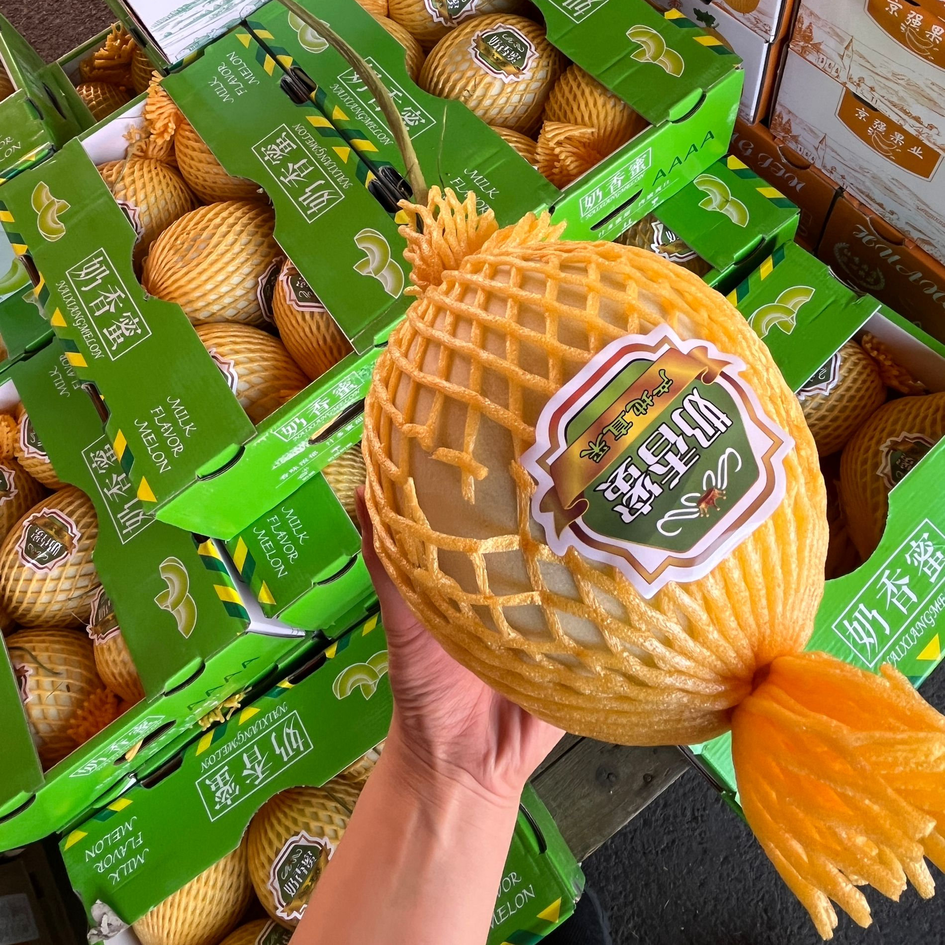 顺丰包邮奶香蜜整箱5颗装 当季新鲜绿心蜜瓜冰淇淋玉菇甜瓜软糯香