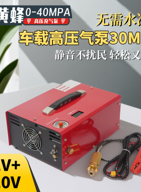 12V车载充气泵30mpa电动打气机高压气瓶打气泵4500psi静音风冷