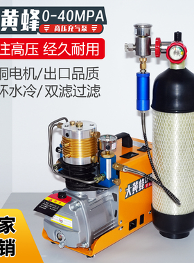 高压打气机30mpa小型电动高压充气泵消防瓶潜水瓶充气泵40MPA水冷