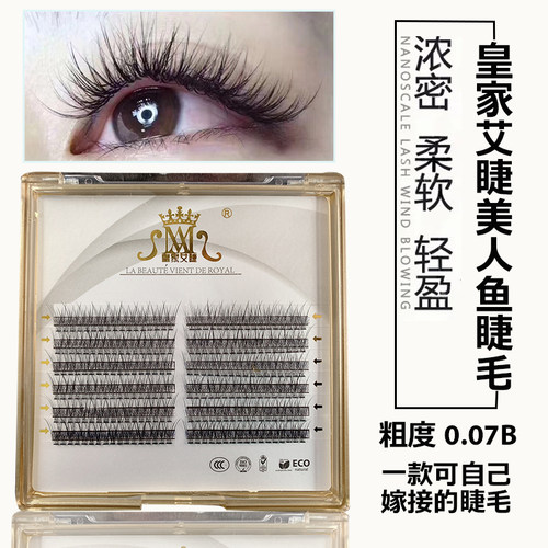 自己嫁接皇家艾睫燕尾交错一簇