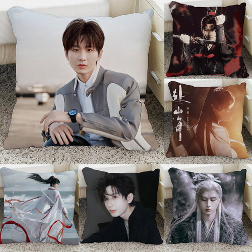 成毅周边沙发抱枕女生睡觉专用图片双面枕头明星照片应援好物送朋