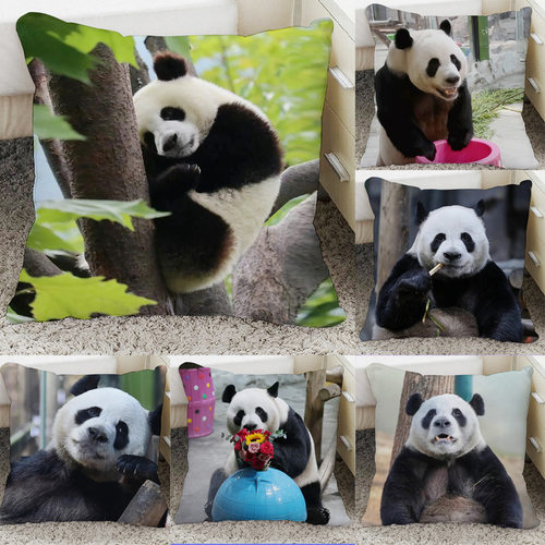 大灵岩沙发抱枕女生睡觉专用图片制作制作办公室午睡靠垫腰垫