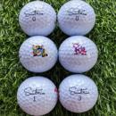 正品 高尔夫球韩国超远距离三四层下场比赛练习球瞄准线高尔夫白球