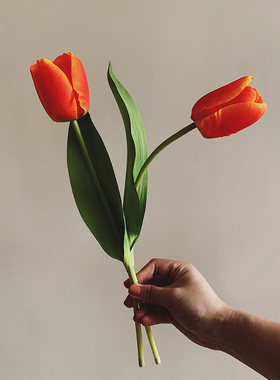 Homeside仿真郁金香北欧ins高保湿手感假花家居花瓶干花装饰插花