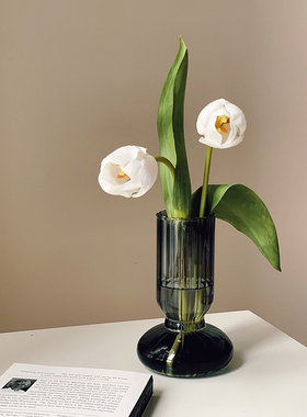 Homeside条纹玻璃花瓶北欧ins法式烟灰色透明水培花器民宿摆件